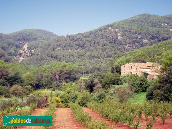 Can Senosa. Al fons a l'esquerre, pot observar-se la casa de Guanta