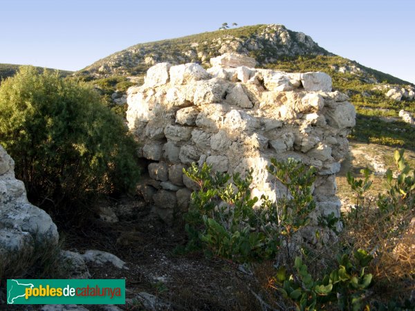 Albinyana - Restes del castell de l'Esquernosa