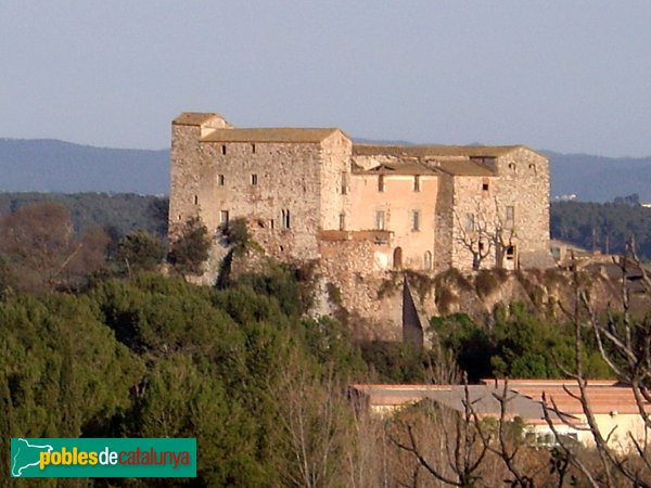 Castell, vista des del NO, una tarda de primavera