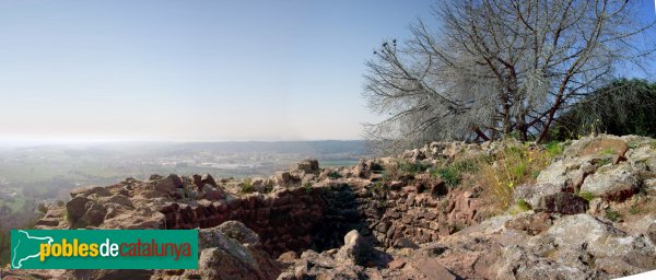 Vista panoràmica des de dalt de la Torre