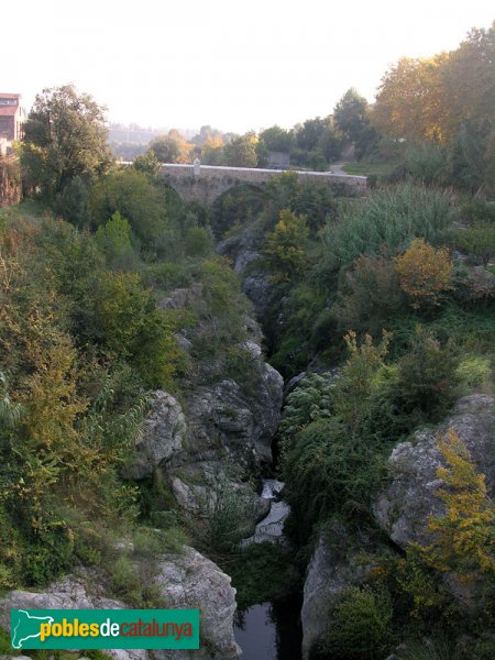 El pont vell, vist des del pont nou