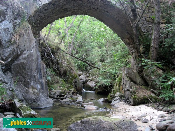 Músser - Pont de Lles