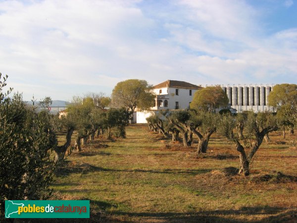 Constantí - Mas de Ventura