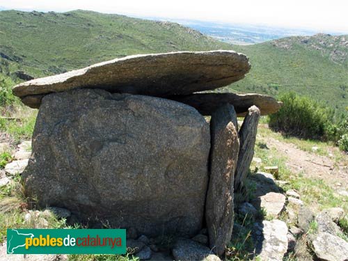 Vilajuiga - Dolmen de les Ruïnes