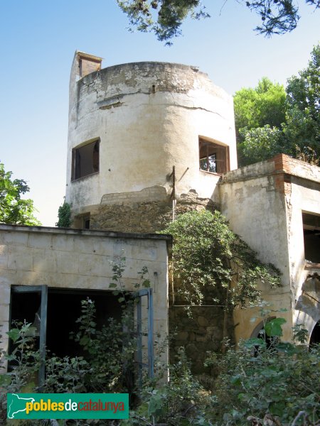 Roses - Torre Calsina