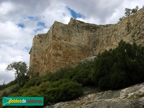 La Pobla de Claramunt - Castell: muralla