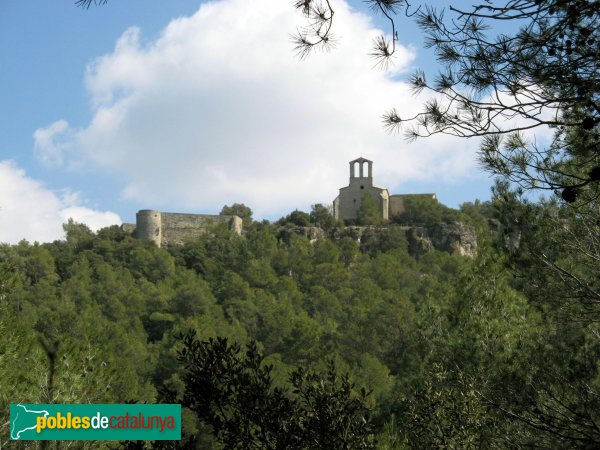 La Llacuna - Castell de Vilademàger (Foto: Albert Esteves, 2009) La Llacuna - Castell de Vilademàger