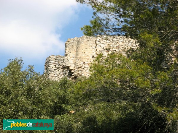 La Llacuna - Castell de Vilademàger (Foto: Albert Esteves, 2009) La Llacuna - Castell de Vilademàger