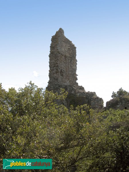 La Llacuna - Castell de Vilademàger (Foto: Albert Esteves, 2009) La Llacuna - Castell de Vilademàger