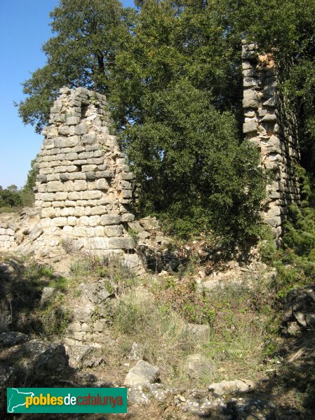La Llacuna - Granja d'Ancosa (Foto: Albert Esteves, 2009) La Llacuna - Granja d'Ancosa