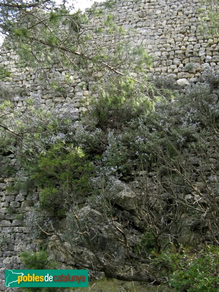 Santa Maria de Miralles - Castell de Miralles