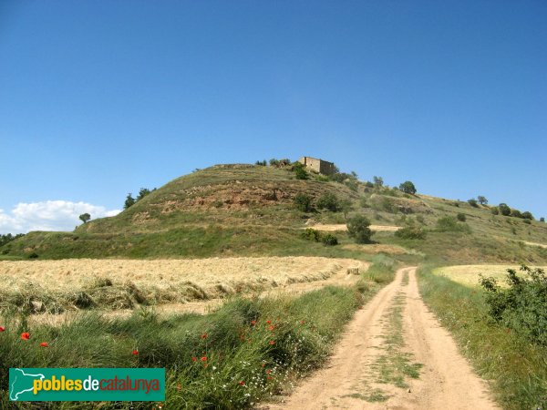 Prats de Rei - Puigdemàger (Foto: Albert Esteves) Prats de Rei - Puigdemàger