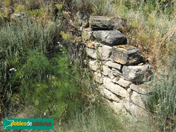 Prats de Rei - Puigdemàger (Foto: Albert Esteves, 2009) Prats de Rei - Puigdemàger