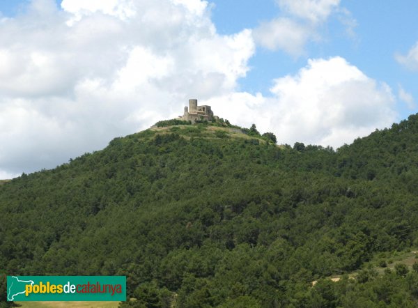 Sant Pere Sallavinera - Castell de Boixadors