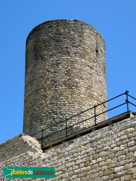 Sant Pere Sallavinera - Castell de Boixadors