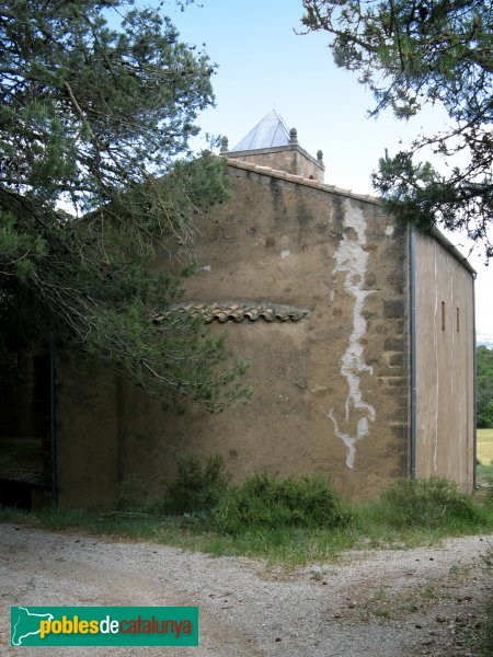 Sant Pere Sallavinera - Sant Pere de Boixadors (Foto: Albert Esteves, 2009) Sant Pere Sallavinera - Sant Pere de Boixadors