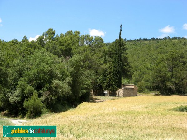 Sant Pere Sallavinera - Cementiri de Boixadors (Foto: Albert Esteves, 2009) Sant Pere Sallavinera - Cementiri de Boixadors