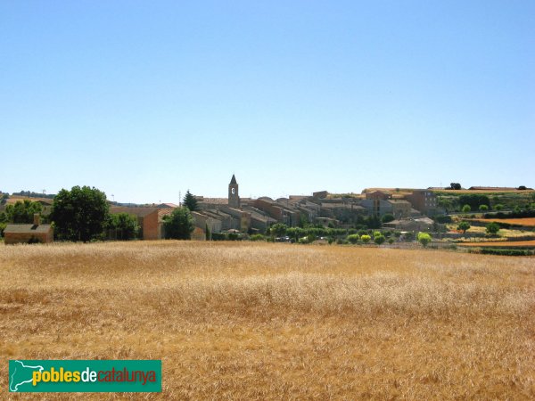 Montmaneu - Panoràmica a l'estiu