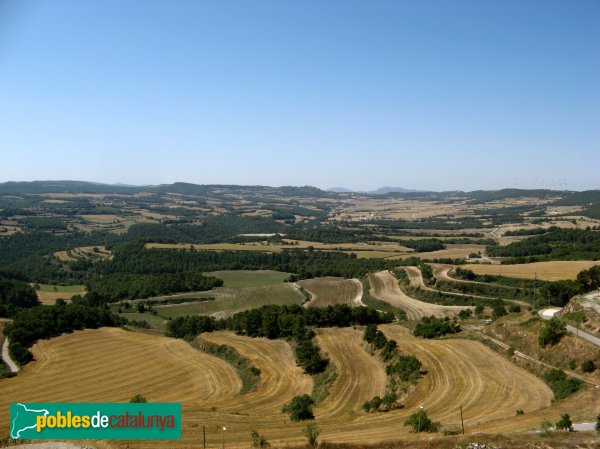 Argençola - Panoràmica des del castell