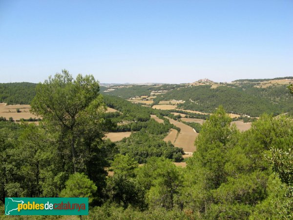 Argençola - Panoràmica des de Viladaspis