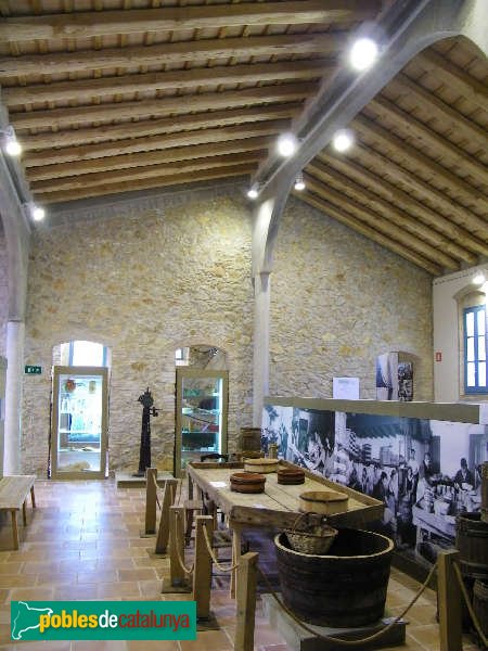 Museu de l'Anxova i la Sal