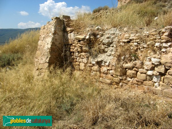 Castell de la Guàrdia dels Prats