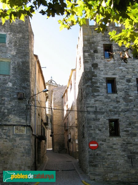 Santa Coloma de Queralt - Torres del portal d'en Roca