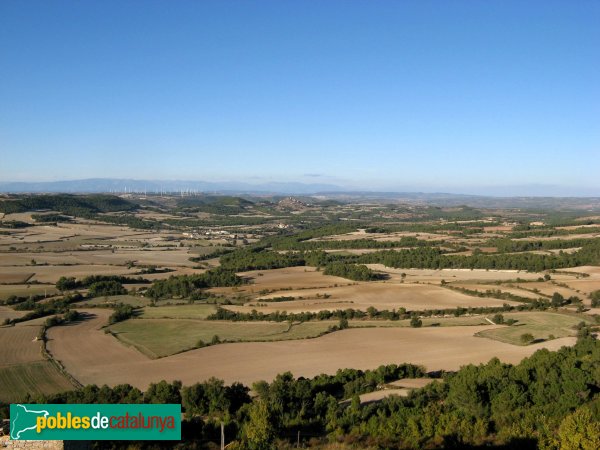 Santa Coloma de Queralt - Panoràmica des del castell d'Aguiló