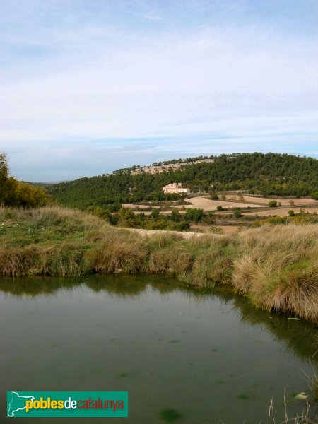 Pontils - Sant Magí de Brufaganya, de lluny