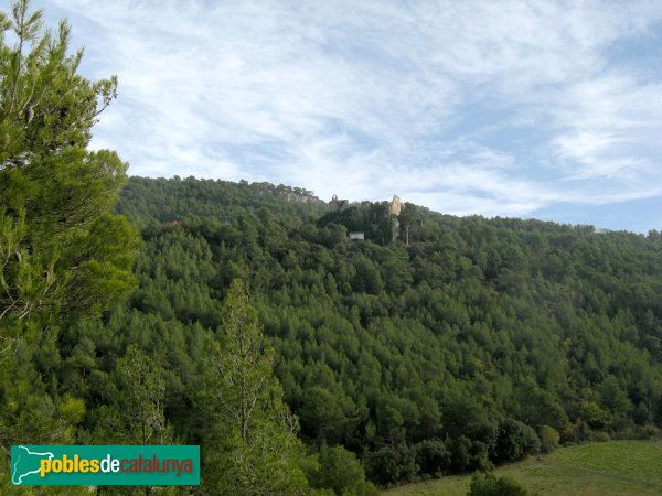 Pontils - Castell i església de Seguer