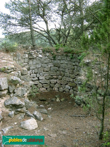 Pontils - Castell de Vallespinosa