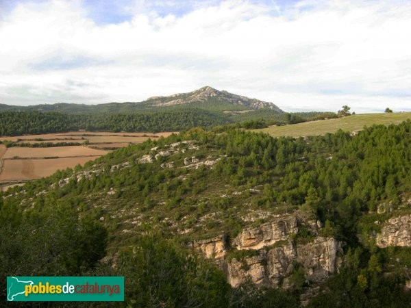 Pontils - Panoràmica des del castell de Vallespinosa