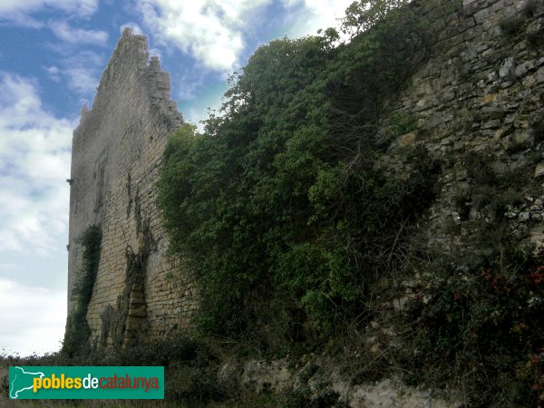 Savallà del Comtat - Castell dels comtes de Savallà