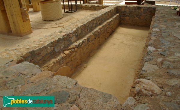 Parc Cella Vinaria de Teià - Dipòsit (lacus) del torcularium