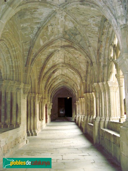 Monestir de Poblet - Claustre