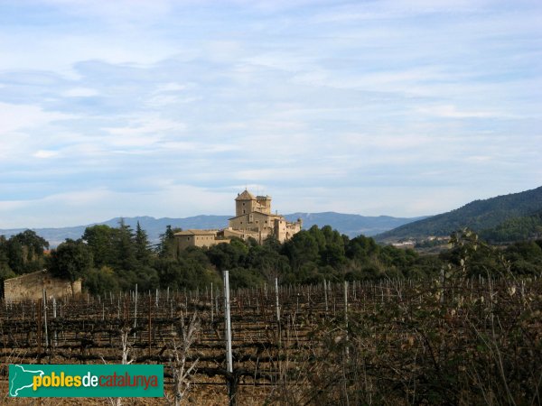 Vimbodí - Granja-castell de Riudabella