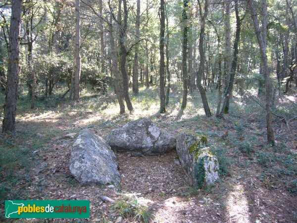 Passanant i Belltall - Cista del Pla de la Sala