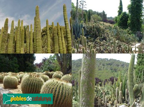 Jardí botànic Pinya de Rosa