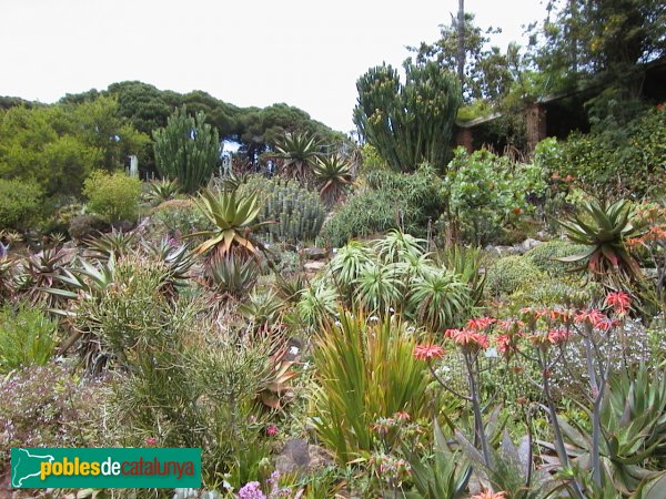 Blanes - Jardí Botànic Mar i Murtra