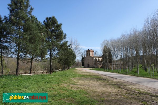 Fogras de la Selva - Sant Cebrià