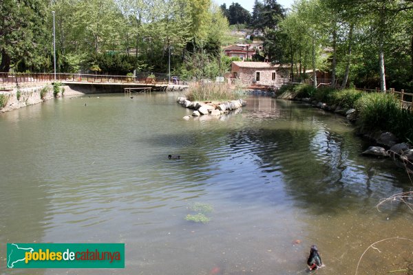 Arbúcies - Bassa de la Farga