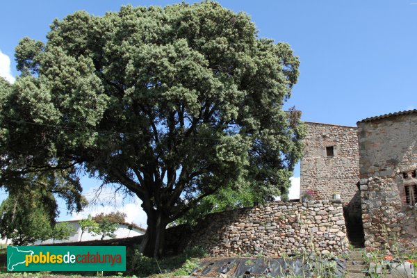 Sant Feliu de Buixalleu - Torre de Grions