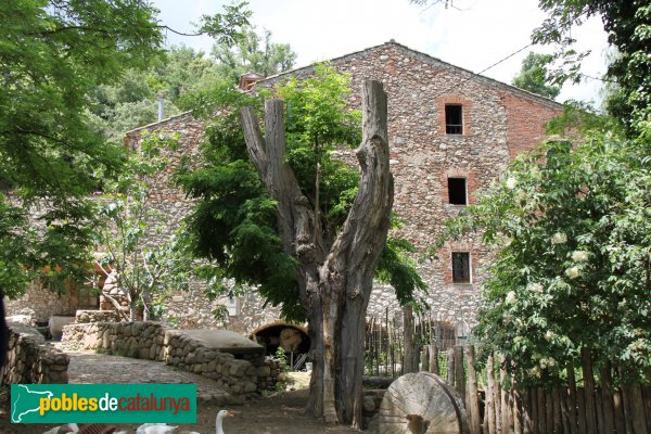 Sant Feliu de Buixalleu - Molí de Dalt