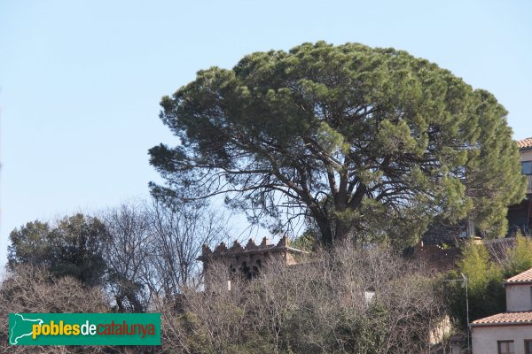 Anglès - Transformador