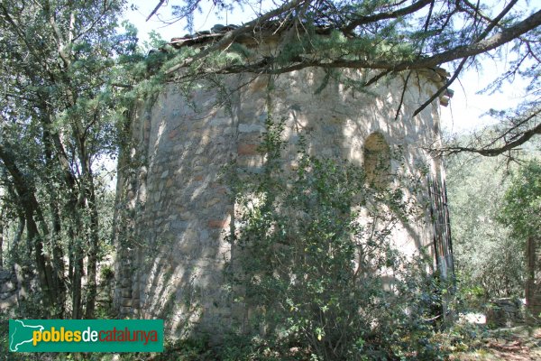 Amer - Sant Agustí de Lloret Salvatge