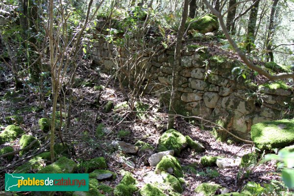 Amer - Voltants de Sant Agustí de Lloret Salvatge