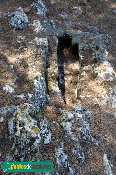 Olèrdola - Necròpolis del Pla dels Albats