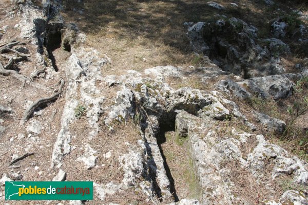 Olèrdola - Necròpolis del Pla dels Albats