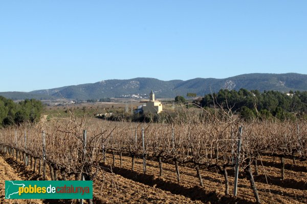 Avinyonet del Penedès - Església de Sant Pere d'Avinyó