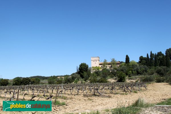 Pla del Penedès - L´Aguilera